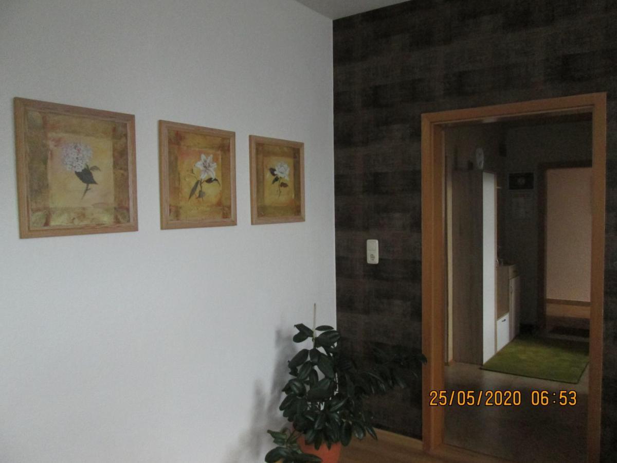 Zentrale-Ruhige Ferienwohnung Reichenbach im Vogtland Buitenkant foto