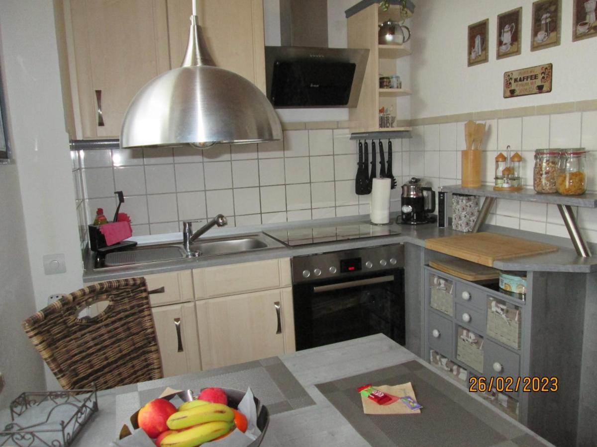 Zentrale-Ruhige Ferienwohnung Reichenbach im Vogtland Buitenkant foto